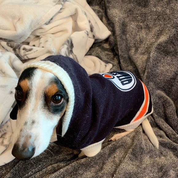 Meet your Posher, Veronica - Picture 1 of 1